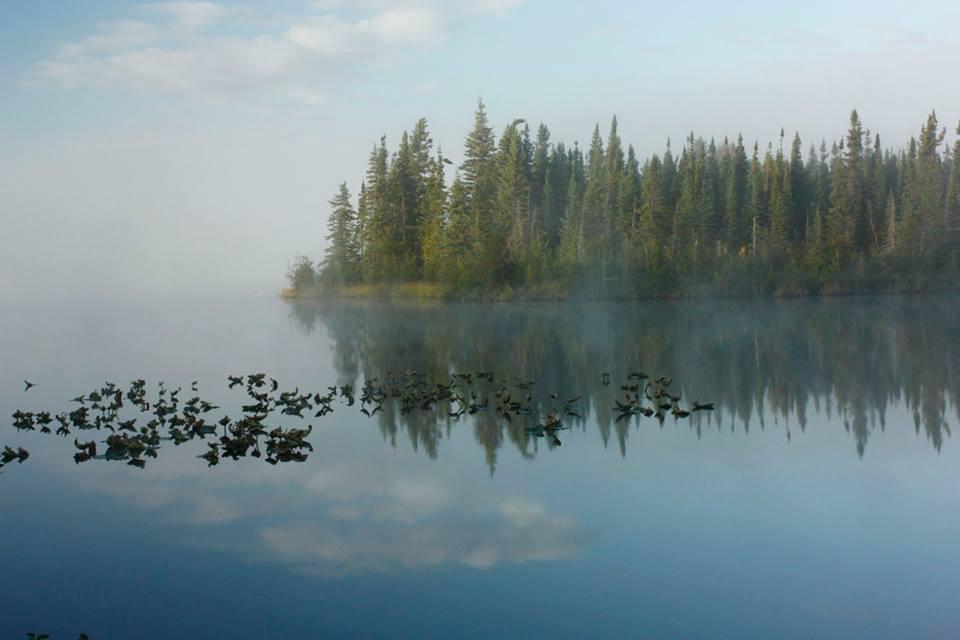 ::::::::LIKE:::::::: - 1001463542403032462136786917874n.jpg